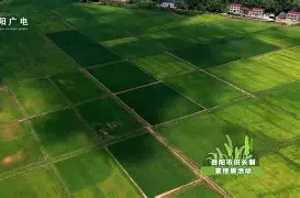 关键球处理愈发沉稳，局面牢牢掌控